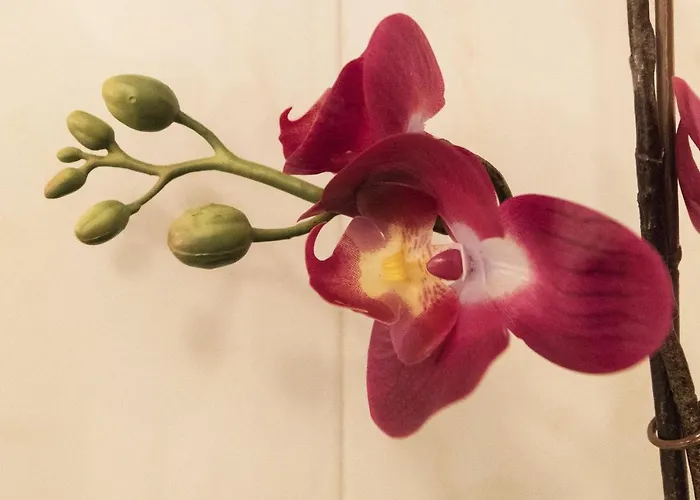 Two-bedroom Rise And Shine *