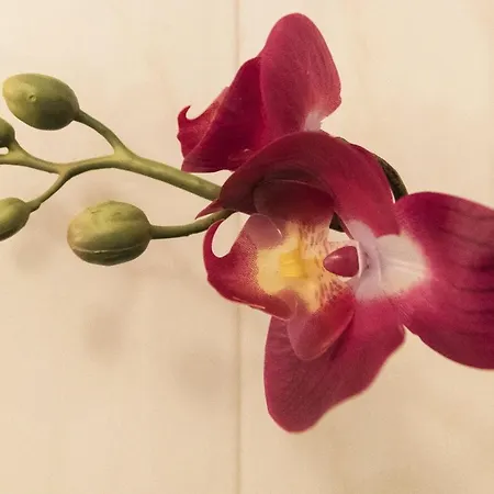 Two-bedroom Rise And Shine *